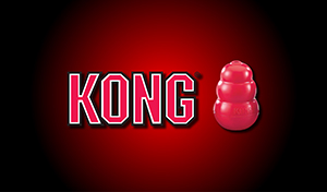 Kong Auspiciante3